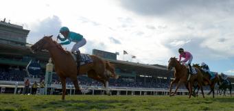 Betting Tips Horse Racing 2020 Cheltenham Festival