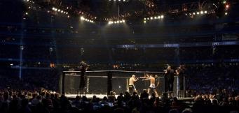UFC Octagon ring