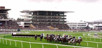 Champion Hurdle trends