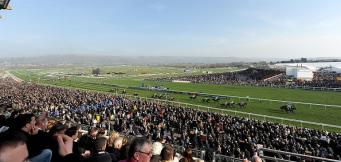 Willie Mullins 2026 Cheltenham Festival