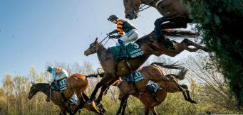 Irish trained horses Grand National