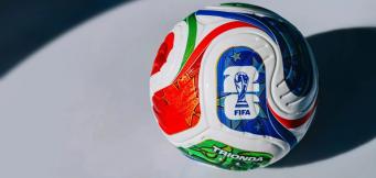 Bosnia and Herzegovina World Cup