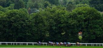Biggest racecourse attendances and capacity