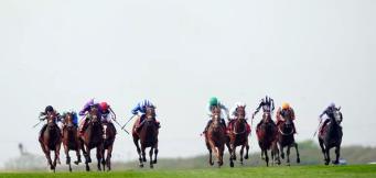 National Racehorse Week