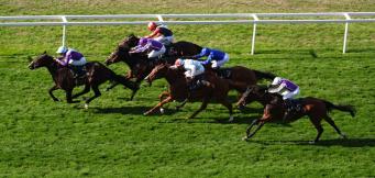 Dan Skelton stable tour