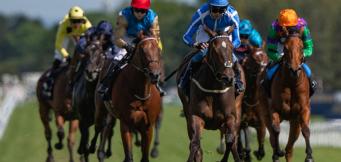 Nicky Henderson horses to follow