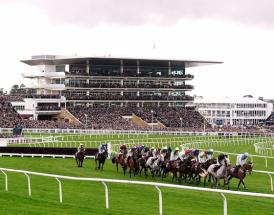 Champion Hurdle trends