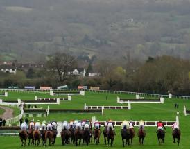 Cheltenham Festival