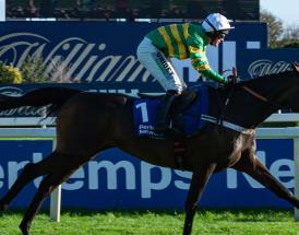 JP McManus Cheltenham 2026