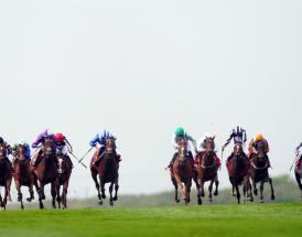 Ascot Racecourse