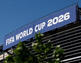 Belgium World Cup