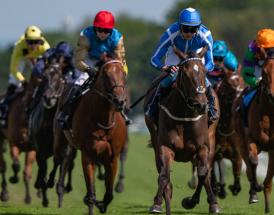 Nicky Henderson horses to follow