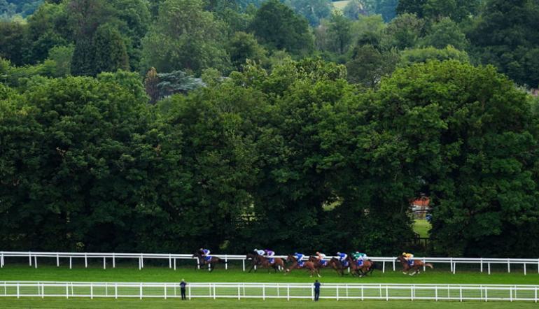 Biggest racecourse attendances and capacity