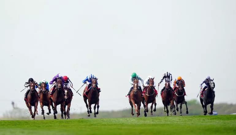 National Racehorse Week