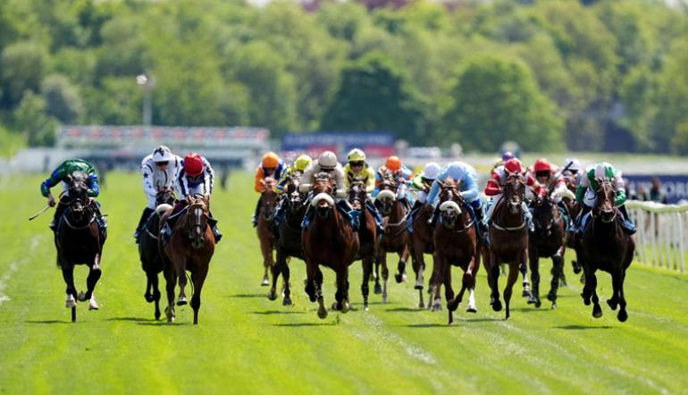 Willie Mullins stable tour