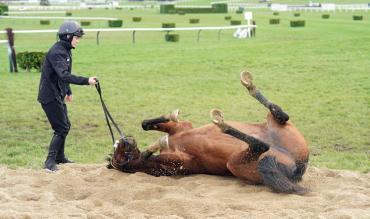 Cheltenham fun facts