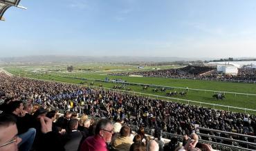 Cheltenham Festival betting tips