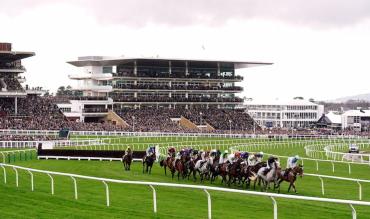 Gordon Elliott Cheltenham runners 2026 Festival