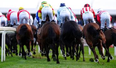 Grand National betting advice