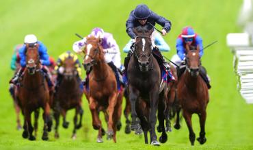 Horse racing betting guide