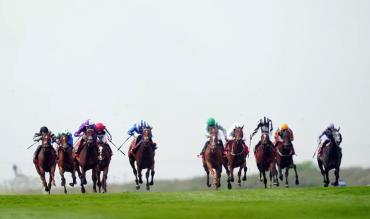 Henry de Bromhead stable